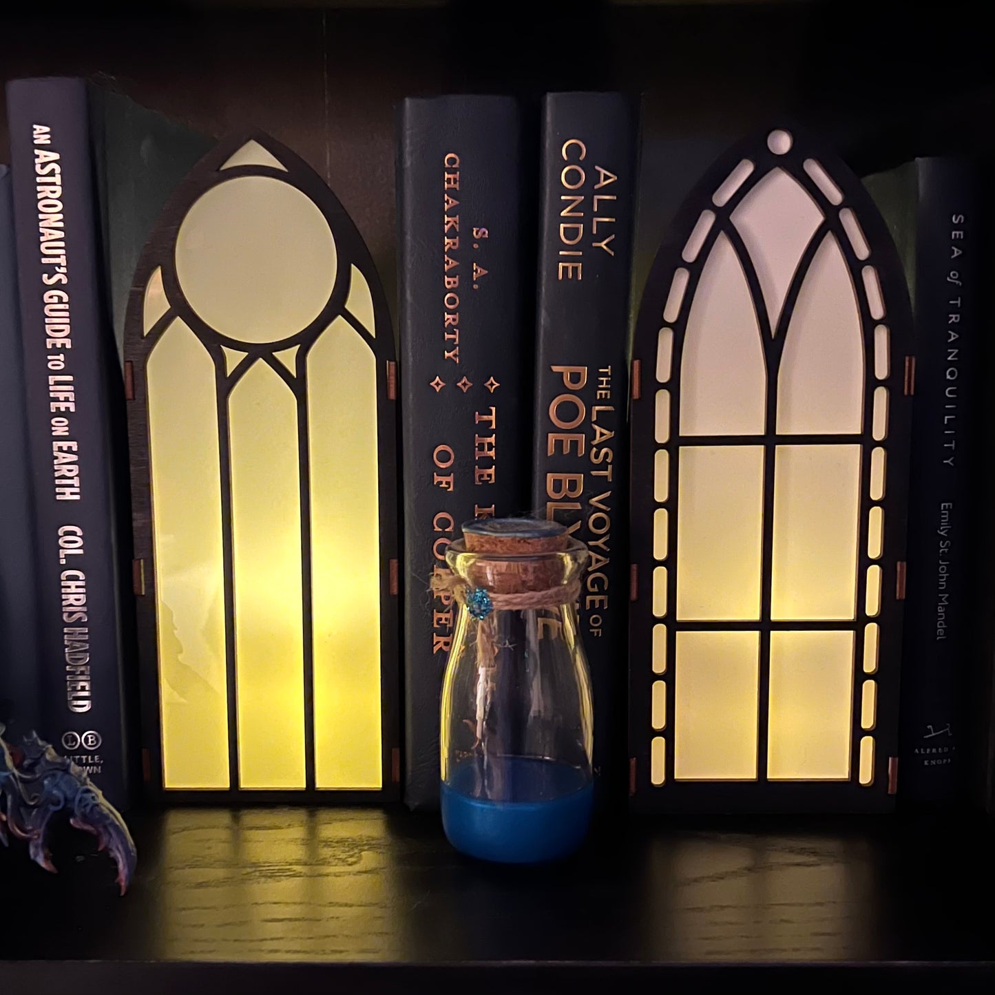 Bookshelf Window