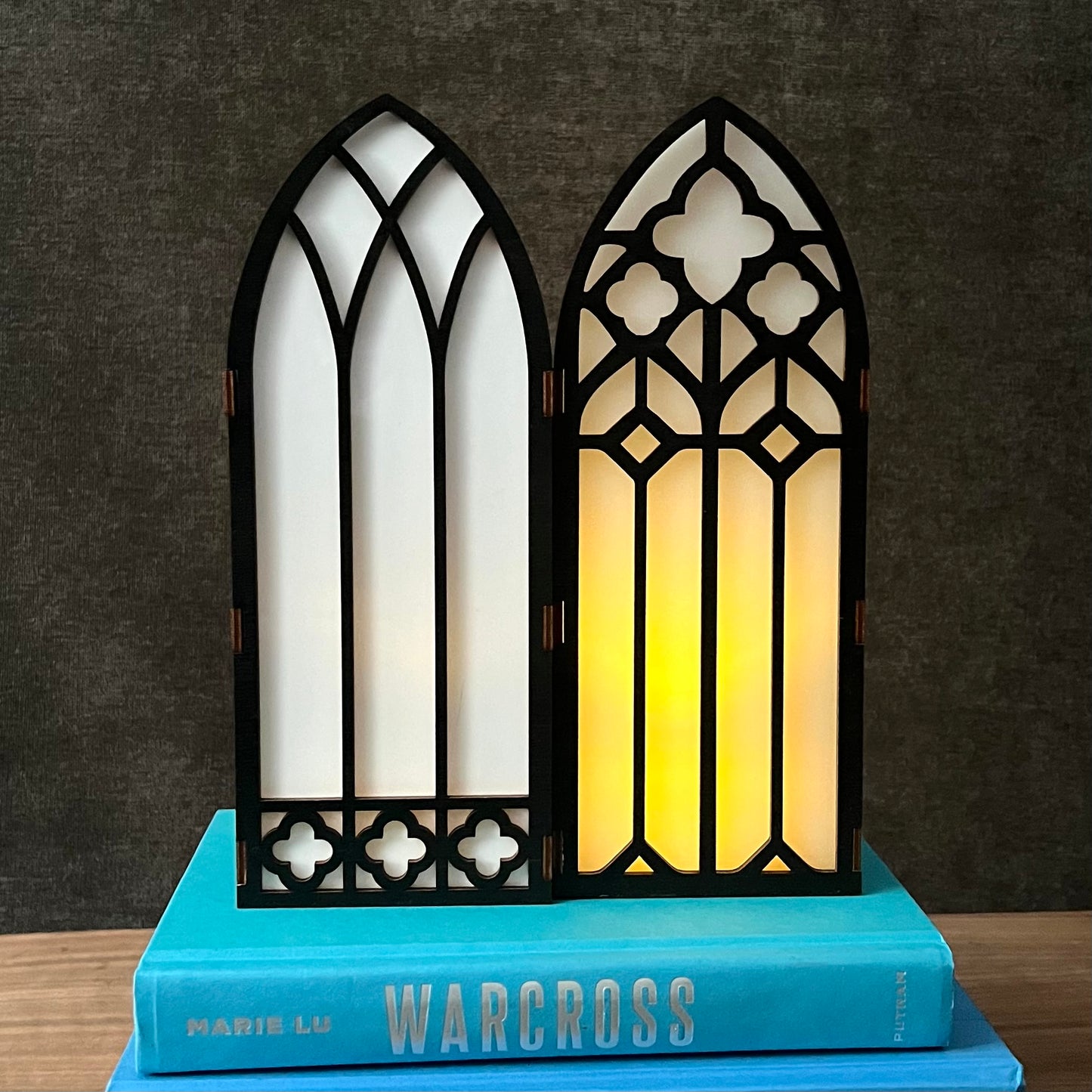 Bookshelf Window
