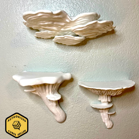 Mushroom Shelves